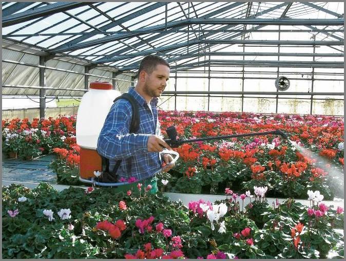 Опрыскиватель аккумуляторный